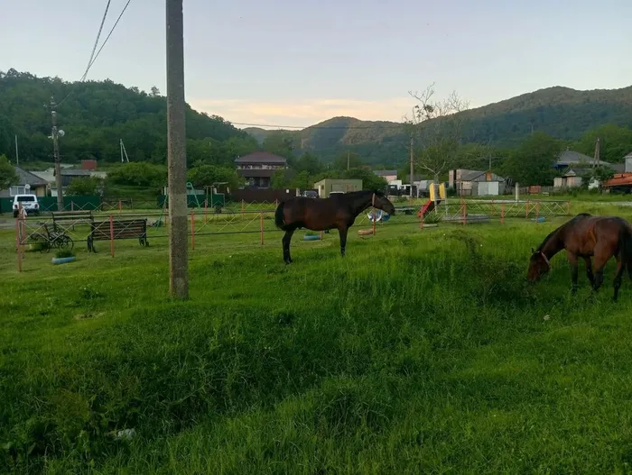 агой пленэр 10