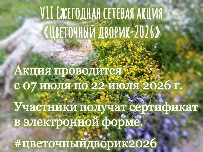 O01PpZLiklb1gFbOZGkJZN14IoT82yNYc12NEVR0T1yJtA9nB-PzYRygtxsnY2P9qLlGkxbEeEiwUOzgu3O12a7N